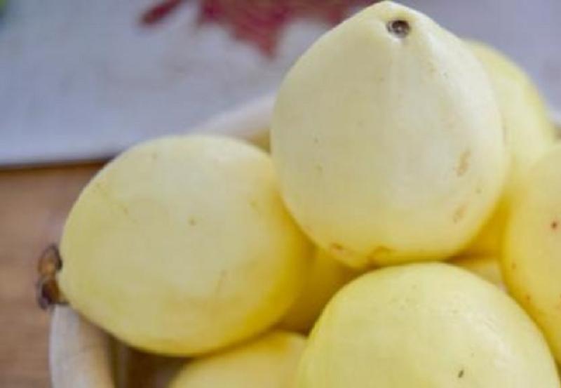 الجوافة