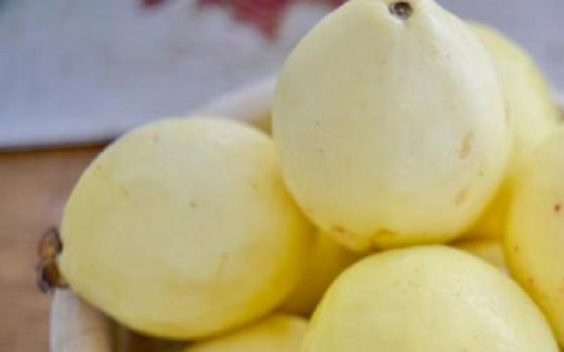 فوائد الجوافة الصحية