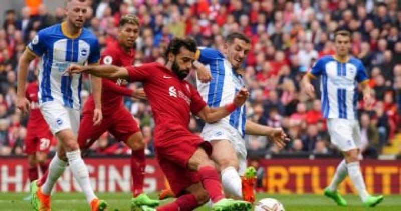 برايتون وليفربول