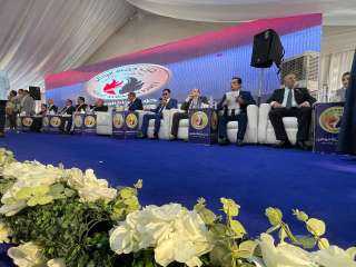 حزب حماة الوطن ينظم لقاءً جماهيرياً بكفر الشيخ حزب حماة الوطن ينظم لقاءً جماهيرياً بكفر الشيخ